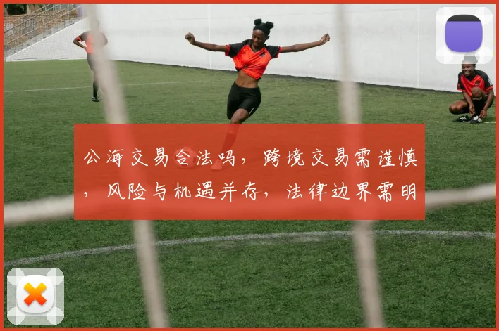 公海交易合法吗，跨境交易需谨慎，风险与机遇并存，法律边界需明确，三思而后行。