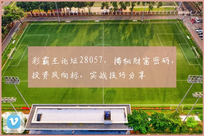 彩霸王论坛28057，揭秘财富密码，投资风向标，实战技巧分享