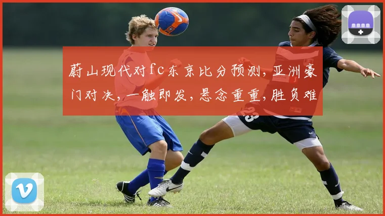 蔚山现代对fc东京比分预测,亚洲豪门对决,一触即发,悬念重重,胜负难料,拭目以待。