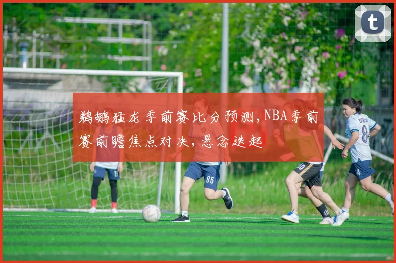 鹈鹕猛龙季前赛比分预测,NBA季前赛前瞻焦点对决,悬念迭起